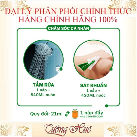 Dung Dịch Sát Khuẩn Dettol Đa Năng - Có Lựa Chọn