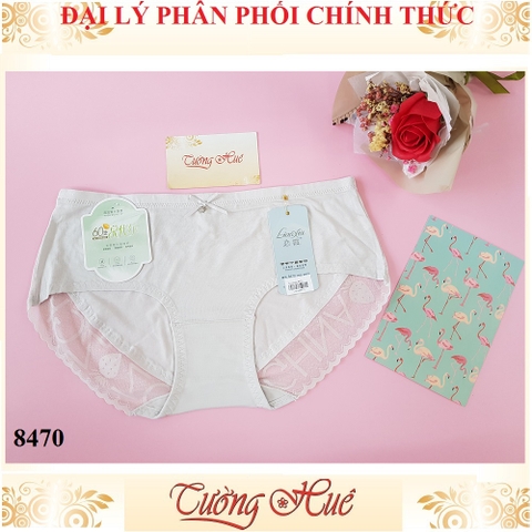 Quần lót nữ Lian Xia 8470 trơn phối lưới chữ freesize MÀU NGẪU NHIÊN.