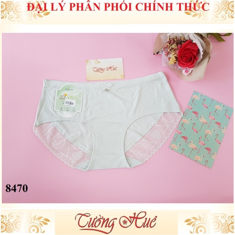 Quần lót nữ Lian Xia 8470 trơn phối lưới chữ freesize MÀU NGẪU NHIÊN.