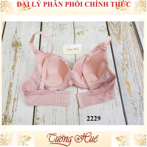 Áo lót nữ Thái Lan Sister Hood 2229 phối ren mút mỏng, lưng bảng to.