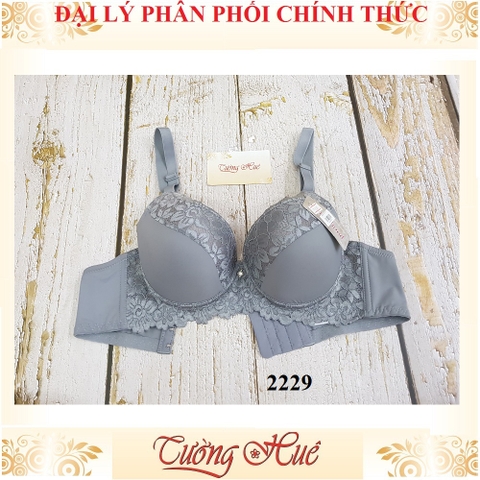 Áo lót nữ Thái Lan Sister Hood 2229 phối ren mút mỏng, lưng bảng to.