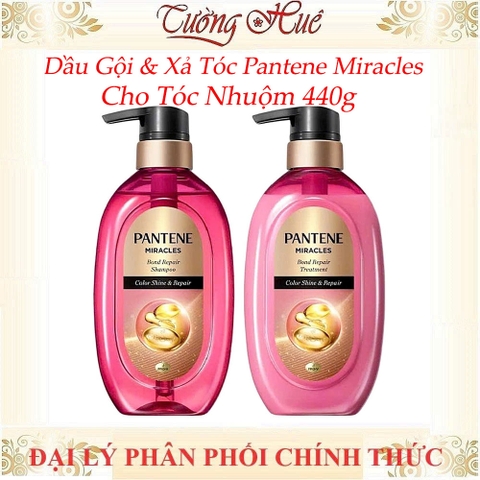 Dầu Gội + Xả Phục Hồi Cho Tóc Nhuộm PANTENE Color Shine & Repair 440g