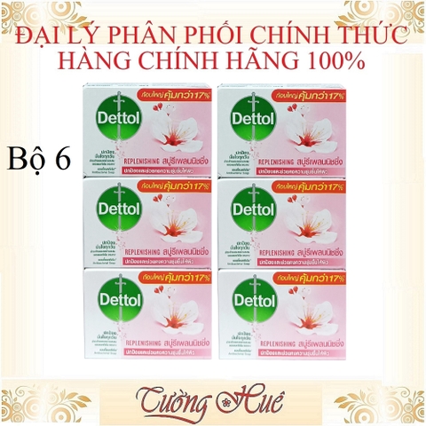 Xà Phòng Dettol Kháng Khuẩn Replenishing Soap - 100g