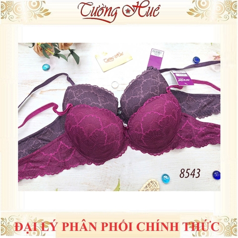 Áo lót nữ annie 8543 Phối Ren Mút Vừa.