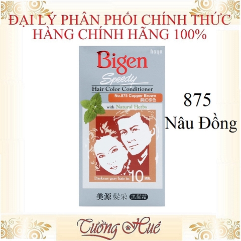 Thuốc Nhuộm Bigen Speedy Hair Conditioner with Natural Herbs.