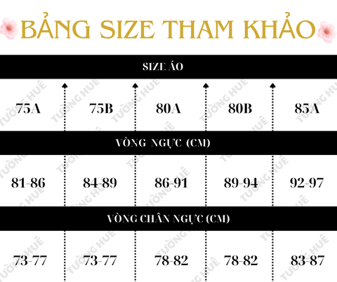 Áo Lót Nữ Escanté 531 Ren Không Gọng Mút Vừa Bản Lưng To 2 Móc Cài.