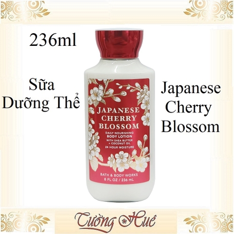 Tắm Dưỡng Xịt Thơm Bath & Body Works Japanese Cherry Blossom - Đào