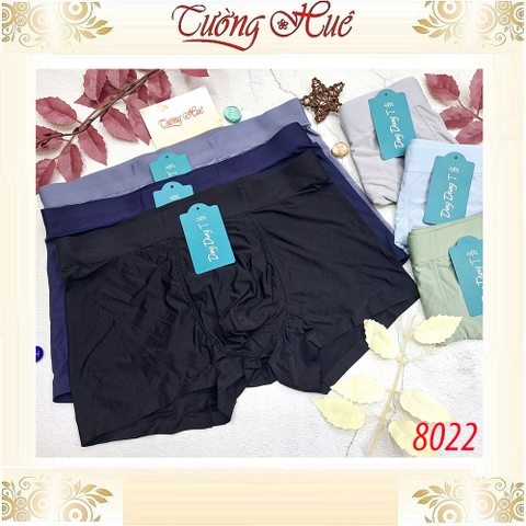 Quần Lót Nam Đùi Ding Dang 8022, Thun Lạnh Co Dãn, Mềm Mát