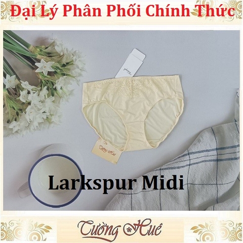 Quần lót nữ Triumph Simply Style Larkspur Midi thun lạnh phối ren, lưng vừa.