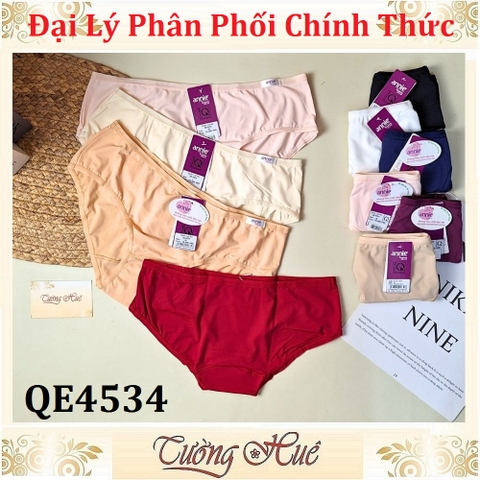 Quần lót nữ Annie QE4534 Trơn Thun Lạnh Lưng Thấp.