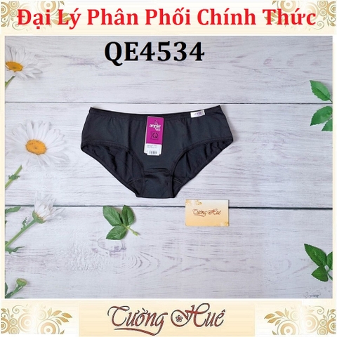 Quần lót nữ Annie QE4534 Trơn Thun Lạnh Lưng Thấp.