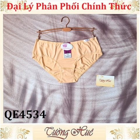 Quần lót nữ Annie QE4534 Trơn Thun Lạnh Lưng Thấp.