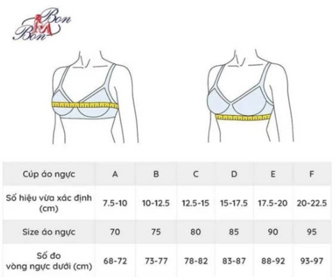 Áo Lót Nữ Bon Bon BV35174 áo nâng ngực trơn mút dày 3cm 3 móc cài