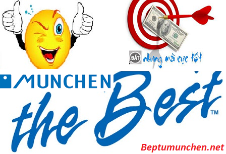 Bếp điện từ Munchen đắt xắt ra miếng