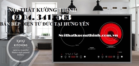 Mua bếp điện từ Đức tại Hưng Yên