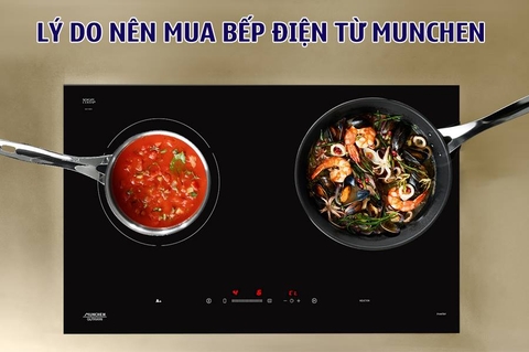Lý do nên mua bếp điện từ munchen