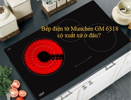 Xuất xứ của bếp điện từ Munchen GM 6318