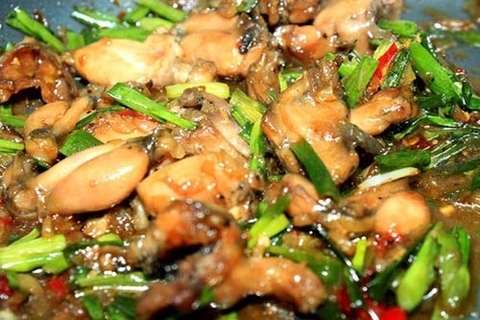 Thưởng thức ếch kho tương bằng bếp điện từ Chefs