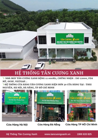 Trà Tân Cương Xanh - Hương Vị Tinh Hoa Từ Vùng Đất Thái Nguyên