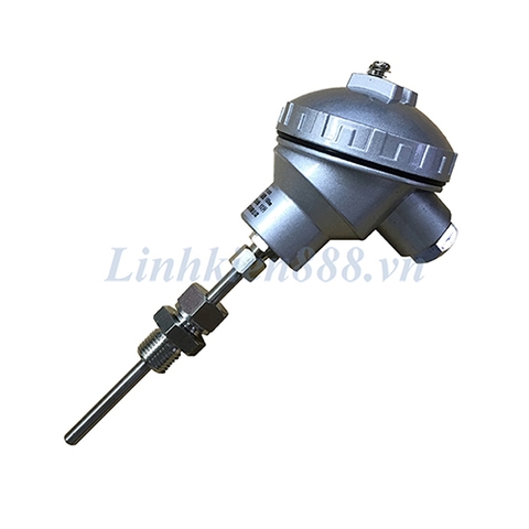 Cảm biến nhiệt độ PT100 WZP-330 Đầu Dò 10Cm