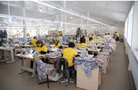 Coolnomix cùng với bàn ủi hơi nước. Một sự kết hợp không chắc chắn???