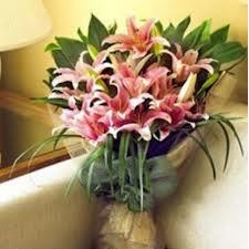 Hoa Ly hồng-màu của tình yêu và lãng mạn