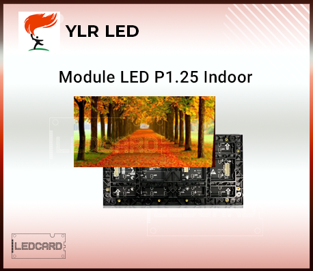 Module Led P1.25 Trong nhà Full Color YLR