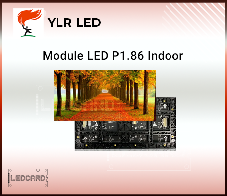 Module Led P1.86 Trong nhà Full Color YLR