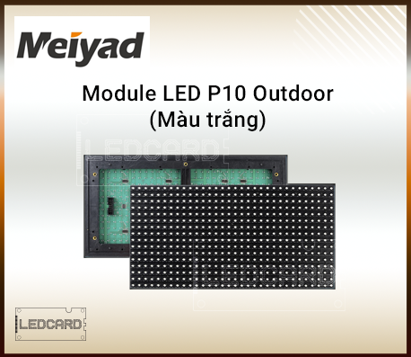Module Led P10 Outdoor Meiyad (Trắng)