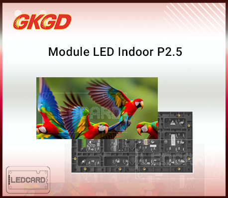 Module Led P2.5 Trong Nhà GKGD