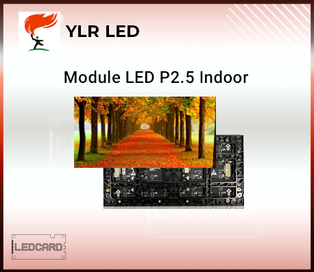 Module Led P2.5 Trong nhà Full Color YLR