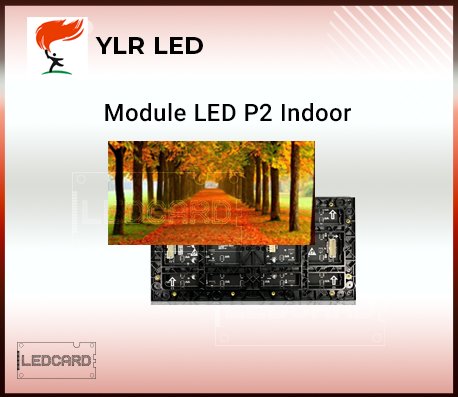 Module Led P2 Trong nhà Full Color YLR