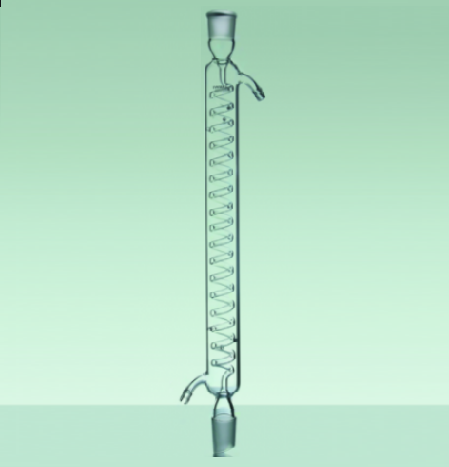 Sinh hàn gai nhám 29