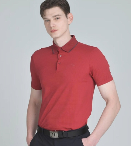 DAKS LONDON DGTS5B412R3(a6066)