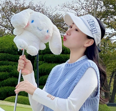 DOUBLE FLAG driver cover