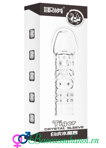 BAO CAO SU ĐÔN DÊN TỨ LINH TIGER