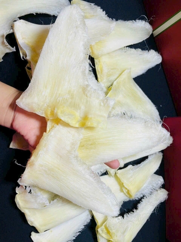 Vi Cá Nguyên Vi Nhật Size Vip 16vi/kg - Shark Fin High Quality