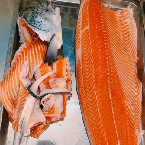Cá Hồi Nauy Fillet Tươi (Loại 2),Fillet Salmon Norway,cá hồi, cá hồi nauy, cá hồi nguyên con, cá hồi fillet, cá hồi sashimi, sashimi cá hồi, giá cá hồi, cá hồi nhập khẩu