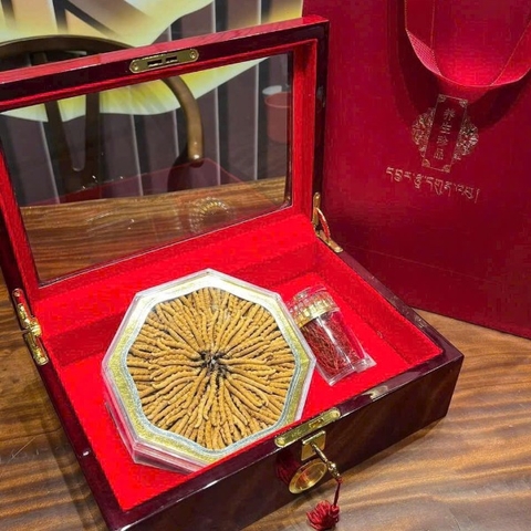 4- Giỏ quà tết- Đông Trùng Hạ Thảo Tây Tạng Nakhuc VIP size 25