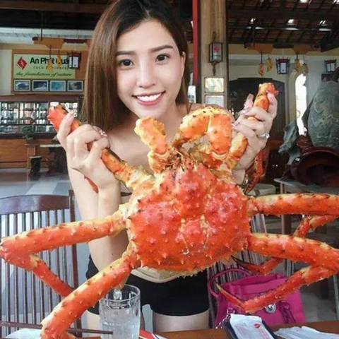 Cua Hoàng Đế Alaska Đỏ (Size 5kg) - Red Big King Crab