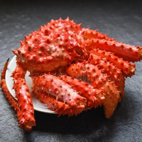 Cua Hoàng Đế Đỏ Ngộp (Size 2-3kg)