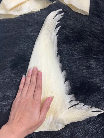 9.3 Hộp Quà - Vi Cá Mập Nguyên Vi size  6-8vi/kg, 500g