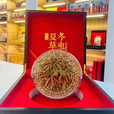 4- Giỏ quà tết- Đông Trùng Hạ Thảo VIP 01