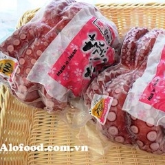 bạch tuộc nhật bản