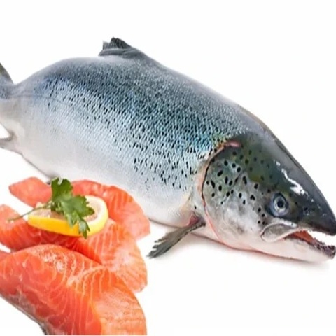 Cá hồi nguyên con Nauy 9-10 kg  (Loại 1) - Fresh Salmon Norway