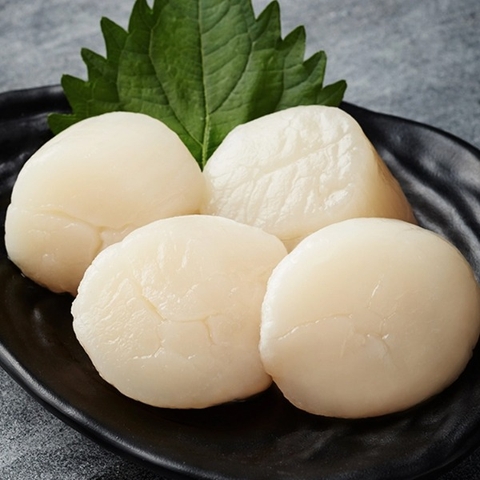 Cồi Sò Điệp Nhật Size 16-25- Hokasho