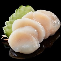 Cồi Sò Điệp Nhật Size M- Hokasho