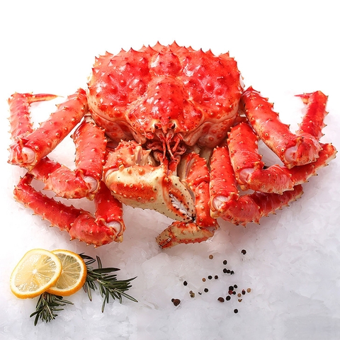 Cua Hoàng Đế Alaska Đỏ - Red King Grab (Hàng Sống)- giá cua hoàng đế 1tr750-2tr750