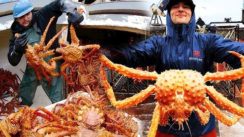 Cua Hoàng Đế Alaska (Size 8-9kg) - Red Big King Crab