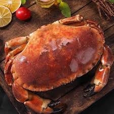 Cua nâu nauy loại 1